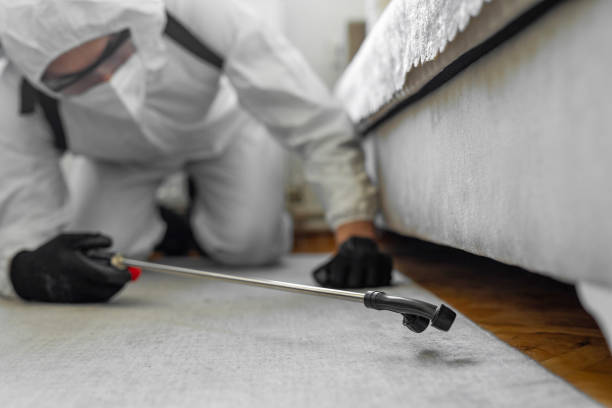 Professional Bed Bug Control technician working in Harris Hill, NY