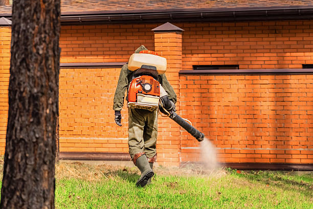 Trusted Termite Control service in Harris Hill, NY - Nex Pest Control